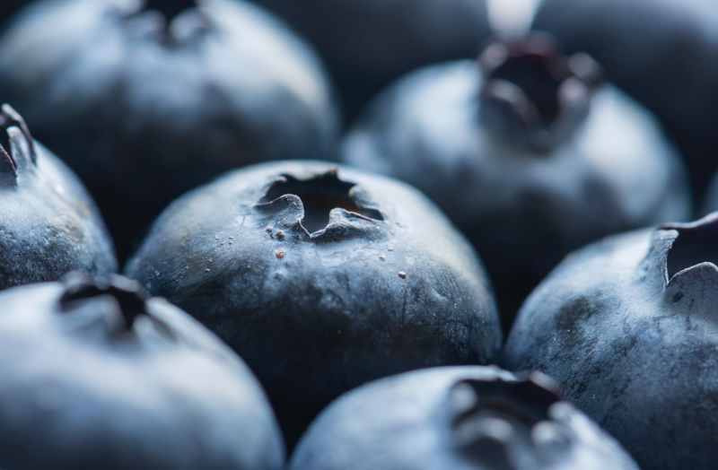 close up photography of blueberries